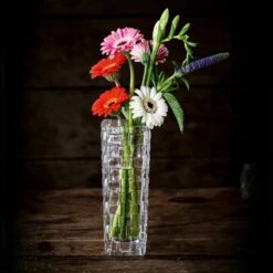 Nachtmann Bossa Nova Vase 16cm