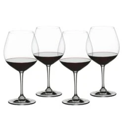 Nachtmann ViVino Burgundy Glass, Set Of 4