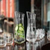 Spiegelau Lifestyle Linear Carafe