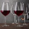 Spiegelau Salute Burgundy Wine Glasses, Set Of 4