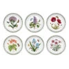 Portmeirion Botanic Garden Plate (Drum Shape) 21.5cm