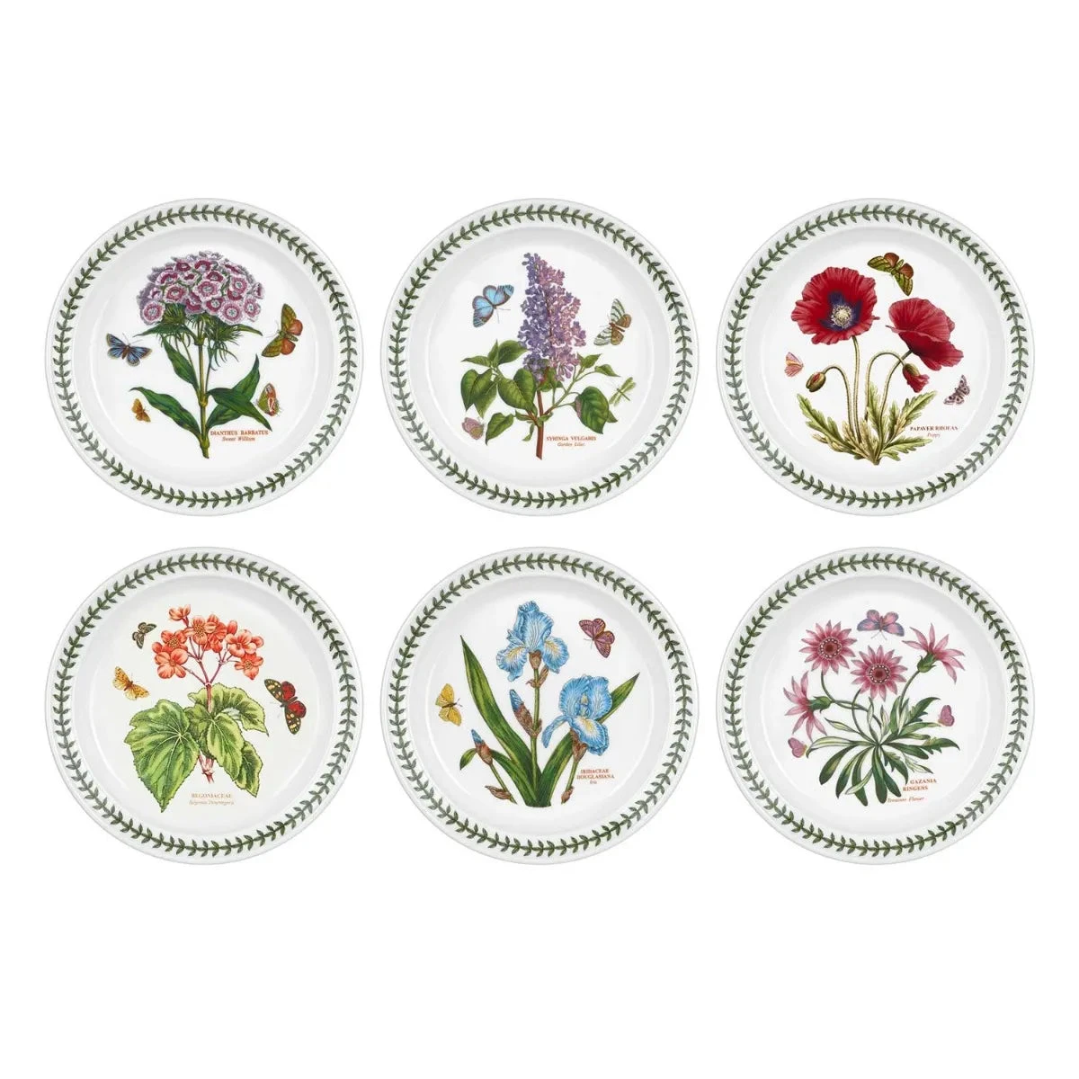 Portmeirion Botanic Garden Plate (Drum Shape) 21.5cm 1 Portmeirion Botanic Garden Plate (Drum Shape) 21.5cm