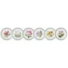 Portmeirion Exotic Botanic Garden Dinner Plate, Set Of 6
