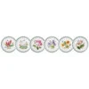 Portmeirion Exotic Botanic Garden Side Plate, Set Of 6