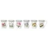 Portmeirion Exotic Botanic Garden Mug, Set Of 6