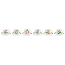 Portmeirion Exotic Botanic Garden Teacup & Saucer, Set Of 6
