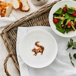 Royal Worcester Wrendale Designs Cereal Bowl (Squirrel) Set Of 4