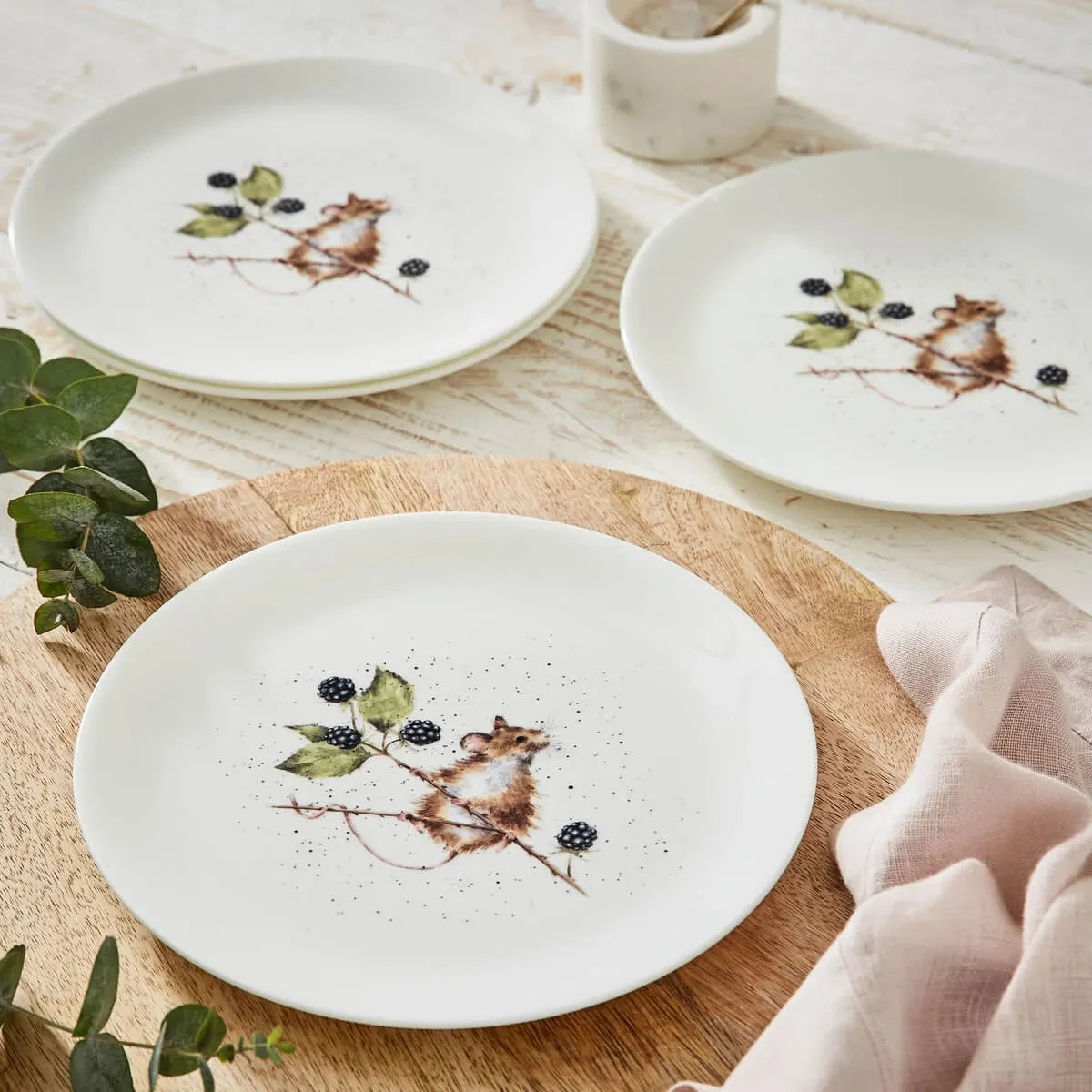 Royal Worcester Wrendale Designs Coupe Plate (Mouse) Set Of 4 1 Royal Worcester Wrendale Designs Coupe Plate (Mouse) Set Of 4