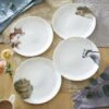 Royal Worcester Wrendale Designs Coupe Dinner Plate (Badger, Hedgehog, Fox, Owl) Set Of 4