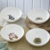 Royal Worcester Wrendale Designs Cereal Bowl (Badger, Hedgehog, Fox, Owl) Set Of 4
