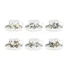 Portmeirion Botanic Garden Teacup And Saucer (Drum) Set Of 6