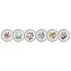 Portmeirion Exotic Botanic Garden Pasta Bowl, Set Of 6