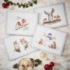 Pimpernel For Royal Worcester Wrendale Designs Christmas Placemats Set Of 4