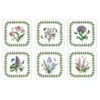 Portmeirion Botanic Garden Coasters Set Of 6