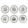 Portmeirion Botanic Garden Bread Plate (D) Set Of 6
