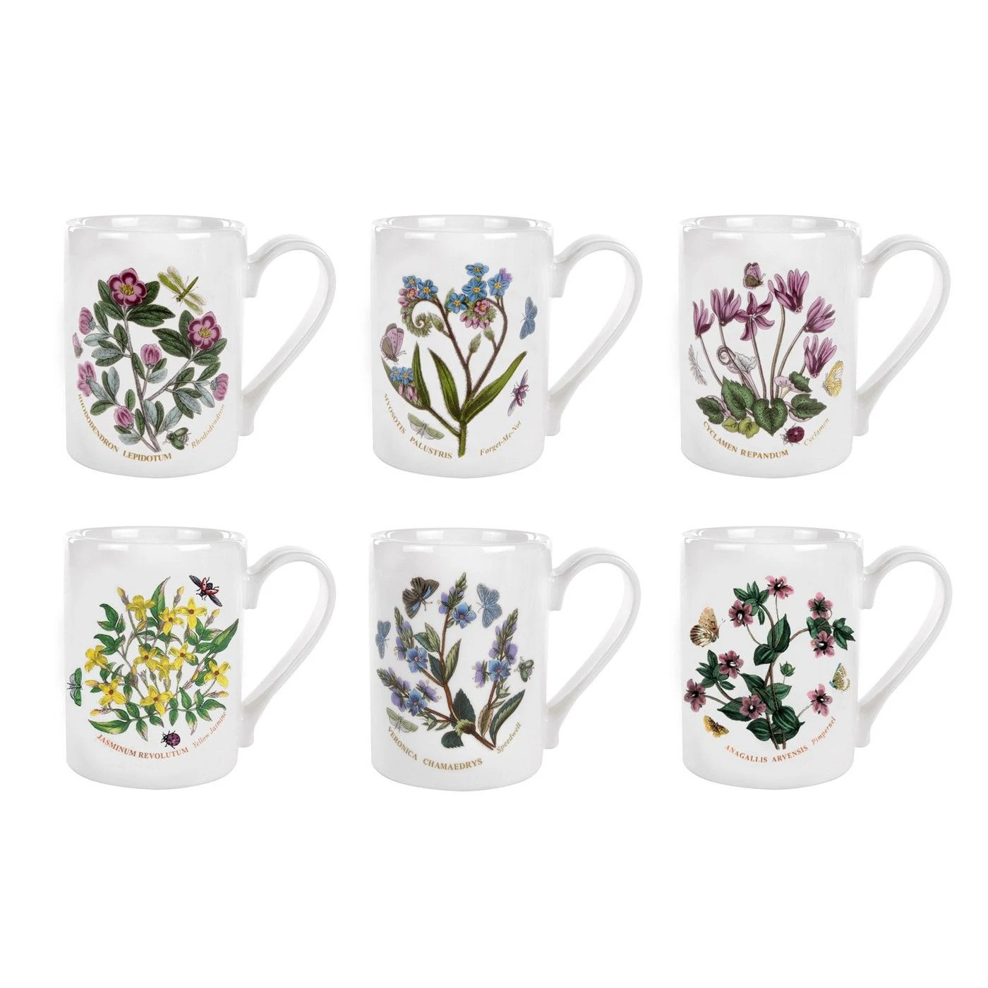 Portmeirion Botanic Garden Coffee Mug, Set Of 6 1 Portmeirion Botanic Garden Coffee Mug, Set Of 6