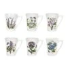 Portmeirion Botanic Garden Mandarin Mug, Set Of 6