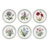 Portmeirion Botanic Garden Plate (D) 20cm Set Of 6