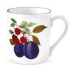Royal Worcester Evesham Gold Mug Plum & Cherry